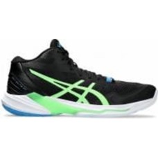 Кроссовки мужские демисезонные Asics SKY ELITE FF MT 2 1051A065_005 р.45 черные
