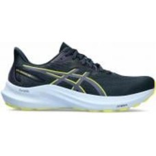 Кроссовки чоловічі Asics GT-2000 12 1011B691_403 р.42 синие