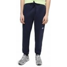 Брюки THE NORTH FACE M NSE LIGHT PANT NF0A4T1F8K21 р. L синий