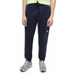 Брюки THE NORTH FACE M NSE LIGHT PANT NF0A4T1F8K21 р. L синий