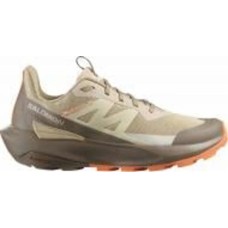 Кроссовки женские демисезонные Salomon ELIXIR ACTIV W L47457600 р.38 бежевые
