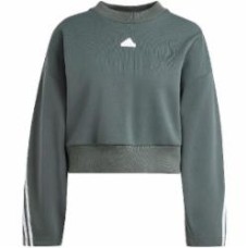 Джемпер Adidas Future Icons IS3879 р.L Джемпер Adidas Future Icons IS3879 р.L
