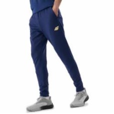 Брюки 4F 4FOSS24TFTRM0896-31S р. 3XL синий