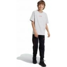 Брюки Adidas J SW ZNE PNT IV9632 р. 140 черный