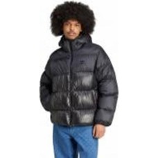 Пуховик мужской зимний Adidas DOWN REGEN ADIC IW3454 р.L черный