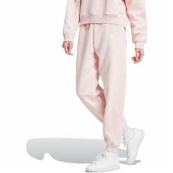 Брюки Adidas W BLUV Q3 PT IY1472 р. XS розовый