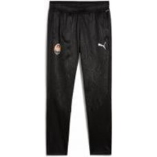 Брюки Puma FCSD TRAINING WARM PANT 77860606 р. L черный