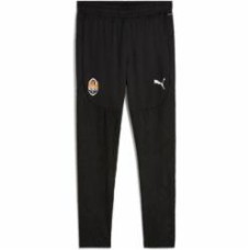 Брюки Puma FCSD TRG PANT PRO W/O POCKET 77785506 р. L черный