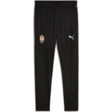 Брюки Puma FCSD TRG PANT PRO W/O POCKET 77785506 р. M черный