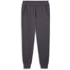 Брюки Puma ESS ELEVATED SWEATPANTS FL CL 68270469 р. M серый