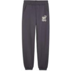 Брюки Puma ESS+ MID 90S SWEATPANTS FL B 68187869 р. 176 серый