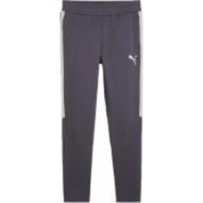 Брюки Puma EVOSTRIPE PANTS DK 68170269 р. M серый