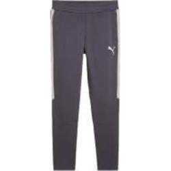 Брюки Puma EVOSTRIPE PANTS DK 68170269 р. M серый