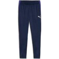 Брюки Puma INDIVIDUALLIGA TRAINING PANTS 65951701 р. S синий