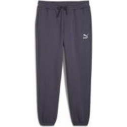 Брюки Puma CLASSICS SMALL LOGO SWEATPANTS FL 53559791 р. XL серый