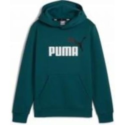 Джемпер Puma ESS+ 2 COL BIG LOGO HOODIE FL B 58698708 р.152 зеленый