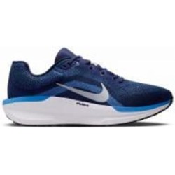 Кроссовки мужские Nike WINFLO 11 FJ9509-400 р.42,5 синие