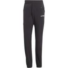 Брюки Adidas Terrex Xperior IQ1401 р. 52 черный