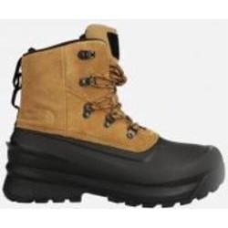 Ботинки THE NORTH FACE Chilkat V Lace Waterproof NF0A5LW3YW21 р.42 коричневый Ботинки THE NORTH FACE Chilkat V Lace Waterproof NF0A5LW3YW21 р.42 коричневый