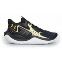 Кроссовки чоловічі демісезонні Under Armour UA JET '23 3026634-001 р.41 черные