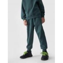 Брюки 4F TROUSERS CAS M761 4FJWAW24TTROM761-40S р. 164 зеленый