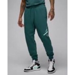 Брюки Jordan J ESS FLC BASELINE PANT FD7345-366 р. M зеленый