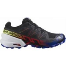 Кроссовки мужские демисезонные Salomon SPEEDCROSS 6 GTX L47202300 р.42 черные