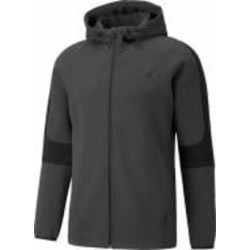 Джемпер Puma EVOSTRIPE CORE FZ HOODIE 58581207 р.M серый
