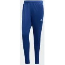 Брюки Adidas Tiro HS7489 р. S синий