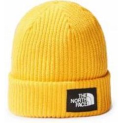 Шапка SALTY LINED BEANIE NF0A3FJW56P1 р.one size желтый