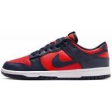 Кроссовки чоловічі демісезонні Nike Dunk Low Retro DV0833-601 р.44 разноцветные