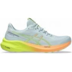 Кроссовки жіночі Asics GT-1000 13 PARIS 1012B748-750 р.40 серые