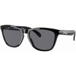 Солнцезащитные очки Oakley Frogskins grey Lenses (24-30655)