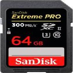 Карта памяти SanDisk SDXC 64 ГБ Class 10 (SDSDXDK-064G-GN4IN) Extreme PRO