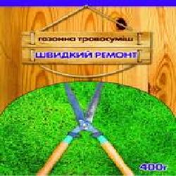 Семена Семейный сад газонная трава Быстрый ремонт 400 г