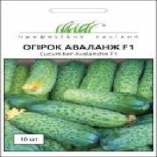 Семена Професійне насіння огурец самоопыляемый Аваланж (Авелла) F1 10 шт.