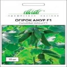 Семена Професійне насіння огурец самоопыляемый Амур F1 10 шт.