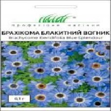 Семена Професійне насіння брахикома Голубой огонек 0,1 г