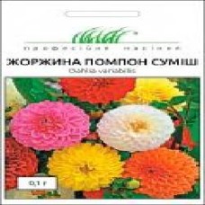 Семена Професійне насіння георгина Помпон смесь 0,1 г