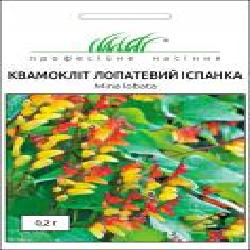 Семена Професійне насіння квамоклит лопастной Испанка 0,2 г