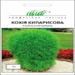 Семена Професійне насіння кохия кипарисовая 1 г