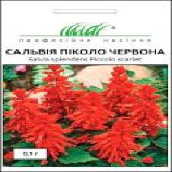 Семена Професійне насіння сальвия Пиколо красная 0,1 г