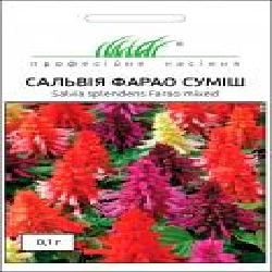 Семена Професійне насіння сальвия Фарао смесь 0,1 г