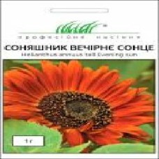 Семена Професійне насіння подсолнух декоративный Вечернее солнце 1 г