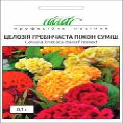 Семена Професійне насіння целозия гребенчатая Пижон смесь 0,1 г