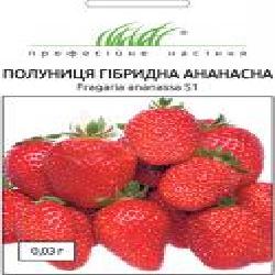 Семена Професійне насіння клубника Ананасная 0,03 г (4823058203928)