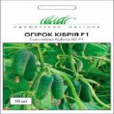 Семена Професійне насіння огурец самоопыляемый Кібрія F1 10 шт.