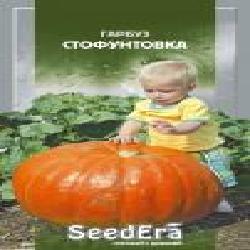 Семена Seedera тыква Стофунтовка 3 г