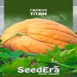 Семена Seedera тыква Титан 2 г