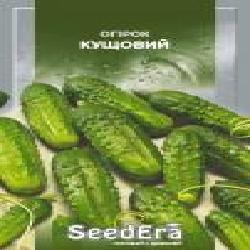 Семена Seedera огурец Кустовой 1 г